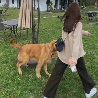 艾诺拉