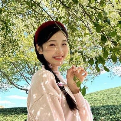黄金罗盘
